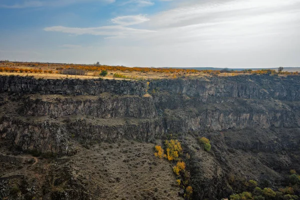 Birkaç ağacı ve bulutlu gökyüzü olan kayalık bir yamaç. Manzara kasvetli ve ıssız.