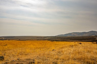 Arkasında bulutlu bir gökyüzü olan büyük, boş bir alan. Gökyüzü gri ve beyazın bir karışımıdır ve arazi kuru otlarla kaplıdır.