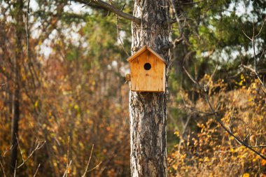 Bir kuş evi bir ağaç dalına tünemiştir. Kuş evi kahverengidir ve önünde küçük bir deliği vardır. Ağaç yapraklar ve dallarla çevrili. Sahneye doğal ve huzurlu bir his veriyor.