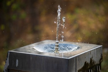 Bir çeşme havaya su püskürtüyor. Su temiz ve çeşme ağaçlarla çevrili.