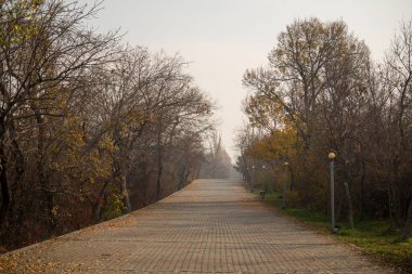 Erivan Ermenistan 10.25.2025. İki tarafında ağaçlar olan bir ormanın içinden geçen bir patika. Yol boş ve ağaçlar çıplak.