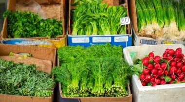 Yeşil fasulye, turp ve maydanoz gibi çeşitli sebzeler kutularda sergilenmektedir.
