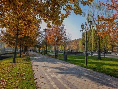 Erivan Ermenistan 11.25.2025. Ağaçlarla ve bankla kaplı bir park. Yapraklar dökülüyor, güzel bir sonbahar sahnesi yaratıyor.