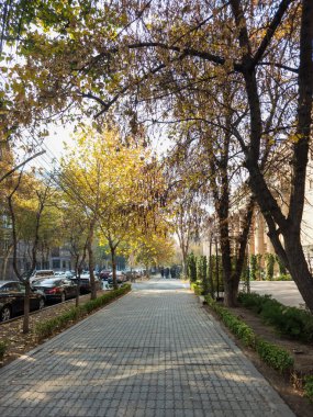 Kenarlarında ağaçlar olan tuğla bir geçit. Ağaçlar çıplak ve yapraklar sarı. Yürüyen bir kaç kişi dışında geçit boş.