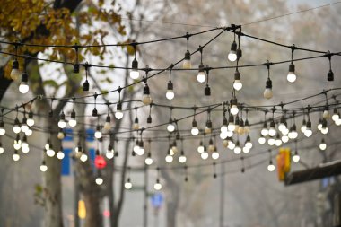 Ağaçtan sarkan bir ışık dizisi. Işıklar beyaz ve bir telden sarkıyor.