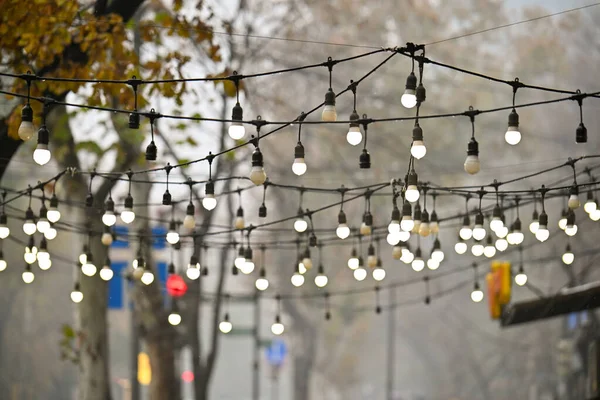 Ağaçtan sarkan bir ışık dizisi. Işıklar beyaz ve bir telden sarkıyor.