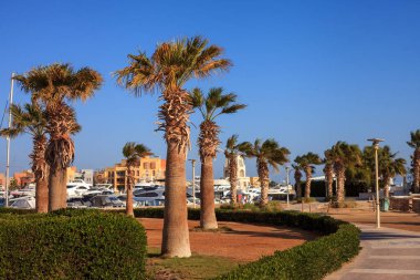 Binanın önünde sıra sıra sıra dizilmiş palmiye ağaçları var. Palmiye ağaçları uzun ve yapraklıdır ve alan bir kaldırımla çevrilidir. Gökyüzü açık ve mavi