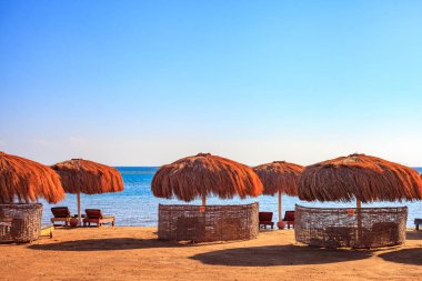 Birkaç şemsiyesi ve sandalyesi olan bir kumsal. Şemsiyeler kırmızı ve sandalyeler kahverengi. Kumsal boş ve gökyüzü mavi.