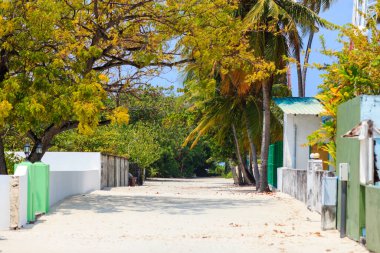 Sunlit path winds through tropical greenery. Trees cast soft shadows on sandy ground. Bright leaves frame a quiet, serene alleyway. Simple walls guide the eye toward distant trees