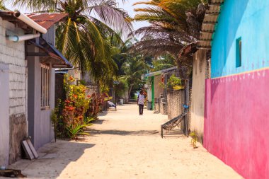 Hindistan cevizi ağaçları sessiz bir köy yolunda. Canlı duvarlar yıpranmış evlerle tezat oluşturuyor. Tek kişilik yürüyüp gider, zamanın farkında olmadan. Güneş ışığı tozlu şeridi sıcak altın içinde yıkar.
