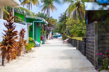 Tropical path lined with vibrant plants and palm trees. Sunlit walkway leads to a serene beachside village. Bright green huts frame the path with warm colors