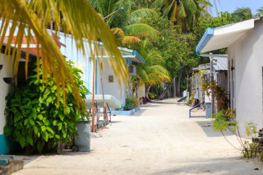 Tropik palmiye yaprakları sessiz ve kumlu bir yol oluşturur. Her iki tarafta renkli binalar var, sıcak güneş ışığıyla yıkanmışlar. Yeşillik bu huzurlu ada manzarasına hayat katıyor. İnsan yok, gürültü yok - sadece sakinleş