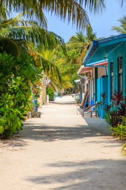 Palm trees sway gently over a quiet, sun-drenched path. Colorful buildings line the street with tropical charm. Sunlight casts soft shadows on the sandy walkway