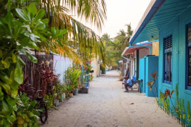Tropical path lined with lush greenery. Pastel-blue house blends with nature's charm. Sunset casts warm glow over quiet alley. Lone figure sits, enjoying tranquil peace