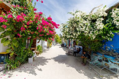 Sessiz bir ara sokakta canlı çiçekler açarlar. Pembe ve beyaz çiçekler yemyeşil yere dökülür. Güneş ışığı tozlu yolda yumuşak gölgeler bırakır. Adam bankın yanında oturuyor, geçen araçları izliyor.