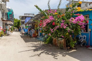 Renkli çiçekler sessiz, güneşli bir ara sokağı çevreledi. Canlı pembe ve morumsu çiçekler kırsal ahşap çitleri aşıyor. Gölgeli yollar sakin gezintiler ya da duraksamalar davet eder
