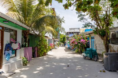 Palmiye ağaçları ve çiçek açan çiçeklerle kaplı tropik bir sokak. Parlak güneş ışığı yukarıdaki yeşil yapraklardan süzülüyor. Renkli binalar tozlu yolun her iki tarafını da kaplıyor.
