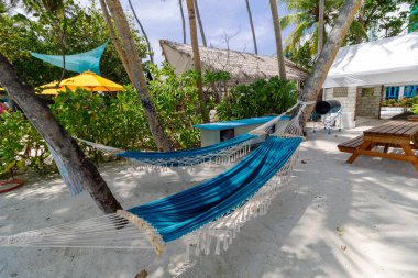 Mavi hamak palmiye ağaçları arasında dinleniyor. Etrafını beyaz kum ve yeşil yapraklar sarmış. Sarı şemsiye neşe katıyor. Sakin, güneşten sırılsıklam olmuş sahne rahatlamaya davetiye çıkarır. Tatil için mükemmel, sahil.