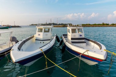 İki beyaz tekne turkuaz suda sakince yüzüyor. Sarı halatlar onları nazikçe iskeleye bağlar. Mavi çizgiler temiz gövdelerine kontrast ekler. Uzak kıyı şeridi sakin sahneyi çerçeveliyor
