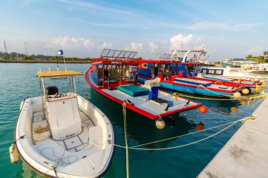 Parlak tekneler sakin, turkuaz bir limanın yanında dinlenir. Beyaz bir teknenin yanında renkli balıkçı tekneleri yüzüyor. İnsanlar güvertelerde, yükleme ekipmanlarında ya da direksiyonda sakince çalışır. Güneş ışığı sahnede sıcacık parlıyor.