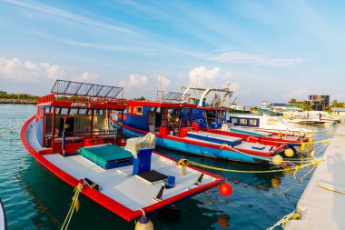 Renkli balıkçı tekneleri limanda huzur içinde dinleniyor. Güneş ışığı sakin parlar, turkuaz sular. Parlak kırmızı ve mavi gövdeler gökyüzüne karşı canlı bir kontrasttır.