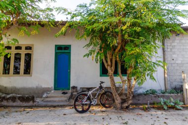Yeşil kapılı ve pencere çerçeveli güneşli bir ev. Bisiklet yapraklı bir ağacın yanına eğilir, sessizce yere çakılmıştır. Basit mimari, solgun duvarlar, huzurlu bir ortam. Ağaçlar yumuşak gölgeler bırakır, kırsal cazibe katar.