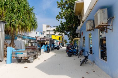 Parlak mavi duvarlar sessiz bir tropikal caddeyi kaplıyor. Motosikletler ve arabalar gölgeli ağaçların altında dinlenir. Serin meltem yeşil palmiyeler ve açık gökyüzünde hareket eder. Canlı renkler, sakin, güneşli kaldırımlarla tezat oluşturuyor