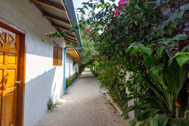 Güneş ışığı yolu canlı çiçeklerin ve ahşap kapıların önünden geçiyor. Yeşillik, sessiz ve davetkar bir ara sokağı çerçeveler. Güneş lekeli duvarlardan ve panjurlardan gelen ılık tonlar. Sakin, tropikal inziva yakın hissettiriyor.