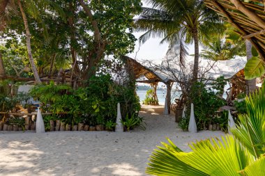 Tropik sahil yolu palmiye ağaçlarının arasından geçiyor. Güneş ışığı yoğun yeşil yaprakların arasından süzülür. Beyaz kum sükuneti, dingin keşifleri davet eder. Doğanın sessiz güzelliği barış ve kaçış sunar.