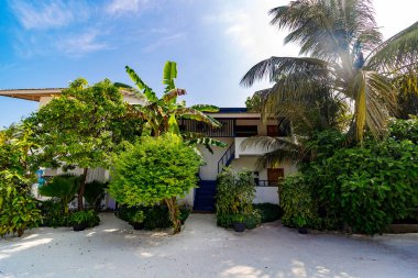 Yeşillik, sakin bir tropikal villayı çerçeveler. Güneş ışığı yukarıdaki palmiye yapraklarından süzülüyor. Sıcak mimari doğanın kucaklamasıyla harmanlanır. Beyaz çakıl yolu sessiz bir keşfi davet eder.