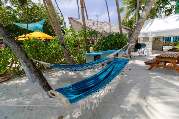 Mavi hamak palmiye ağaçları arasında dinleniyor. Etrafını beyaz kum ve yeşil yapraklar sarmış. Sarı şemsiye neşe katıyor. Sakin, güneşten sırılsıklam olmuş sahne rahatlamaya davetiye çıkarır. Tatil için mükemmel, sahil.