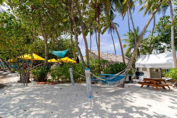 Hamakları ve palmiyeleri olan güneşli plajlar. Parlak şemsiyeler piknik masalarını ve dinlenme yerlerini gölgeliyor. Sıcak, tropikal rahatlama sessiz anları davet eder. Tatil için mükemmel, seyahat için.