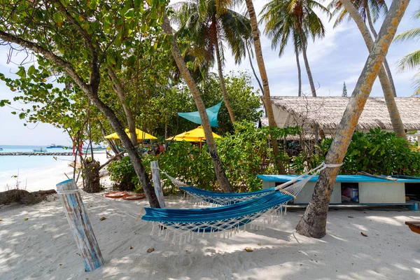 Plaj hamağı palmiye ağaçlarının altında hafifçe sallanıyor. Güneş ışığı yeşil yaprakların arasından süzülür. Mavi iplerin altında beyaz kum uzanır. Sarı şemsiyeler gölgeli bölgeyi işaretliyor. Hindistan cevizi ağaçları, sakin bir kaçış yolu oluşturuyor.