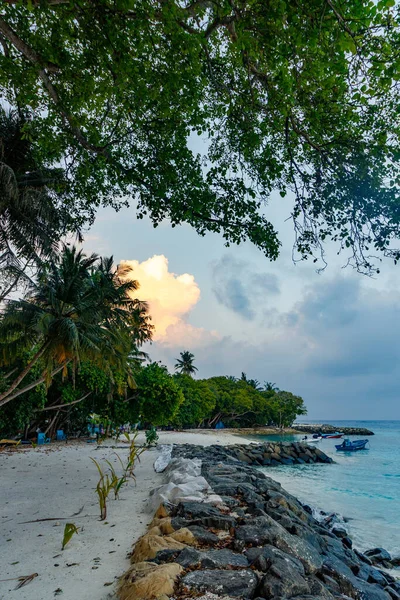 Günbatımı tropikal plajları ılık ve yumuşak bir ışıltıyla yıkar. Hindistan cevizi palmiyeleri akşam esintisiyle hafifçe sallanır. Rocky Shore sakin turkuaz dalgalarla karşılaşıyor. Sessiz barış, kalabalığın dokunmadığı sahneyi kaplıyor.