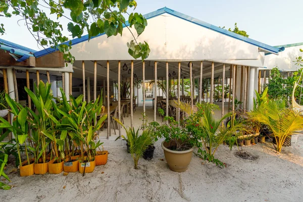 Yeşillik ve saksı bitkileriyle güneşli bir köşk. Mavi süslemeli beyaz çatı doğal tonlara karşı göze çarpar. Uzun bambu direkleri açık hava yapısını çerçeveler.