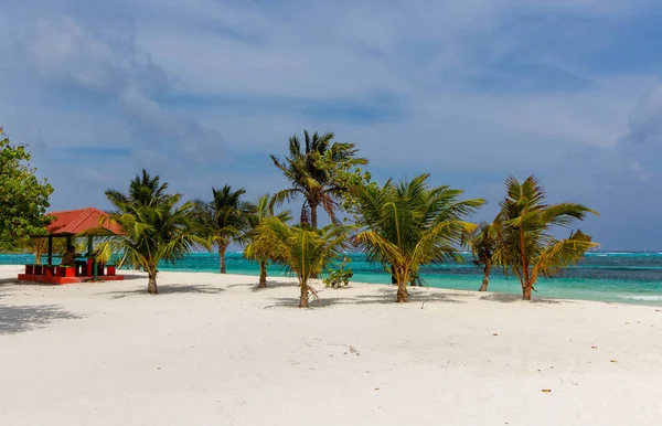 Beyaz kum, yumuşak mavi gökyüzünün altında turkuaz dalgalarla buluşur. Tropikal palmiyeler, basit bir kırmızı pavyonun yanında nazikçe sallanırlar. Sahil kıyısındaki huzurlu, sessiz anlar dinlenmeye davetiye çıkarır. Seyahat ve tatil için ideal.
