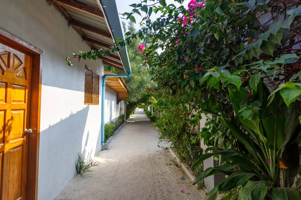 Güneş ışığı yolu canlı çiçeklerin ve ahşap kapıların önünden geçiyor. Yeşillik, sessiz ve davetkar bir ara sokağı çerçeveler. Güneş lekeli duvarlardan ve panjurlardan gelen ılık tonlar. Sakin, tropikal inziva yakın hissettiriyor.