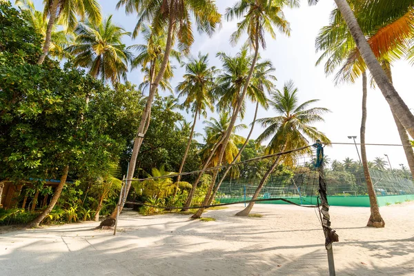 Uzun avuçlar yavaşça kumlu sahilde sallanıyor. Voleybol ağı oyun için hazır ya da beklemede. Güneş ışığı yemyeşil kanopi boyunca süzülür. Serin gölge rahatlamaya ya da eğlenceli aktivitelere davetiye çıkarır