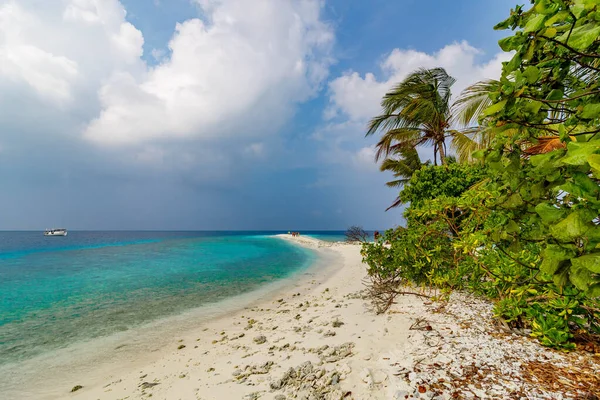 Turkuaz su, sakin bir tropikal sahilde beyaz kumla buluşur. Palmiye ağaçları hafif bir esintide hafifçe sallanır. Gökyüzü yumuşak bulutlar ve sıcak mavi renkler gösteriyor. Hiç kimse huzurlu, güneşli sahneyi bozamaz.