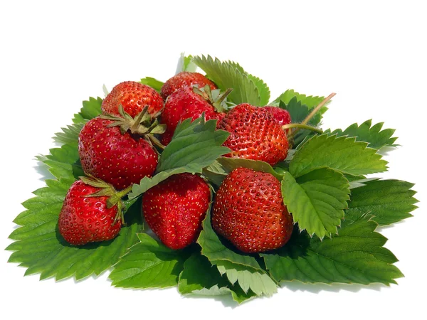 Ripe strawberry on a white background, macro. — Stock Photo, Image