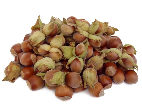 Fındık (fındık) beyaz bir arka plan üzerinde makro
