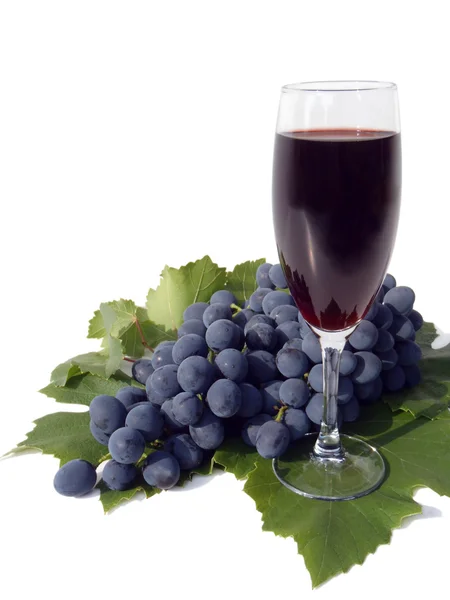 Cluster of blue grapes and glass of red wine on a white background, macro (still life). — Stock Photo, Image