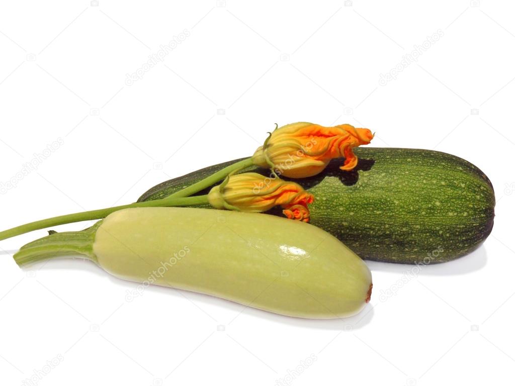Vegetable marrow and zucchini with flowers on a white background, macro.