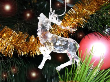 Kristal geyik köknar ağacı üzerinde makro.