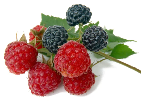 Raspberry and blackberry on a white background (a still life from garden berries). — Stock Photo, Image