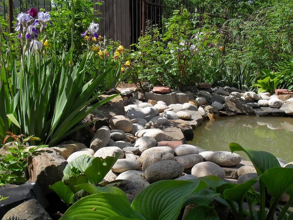 庭で装飾的な池. — ストック写真