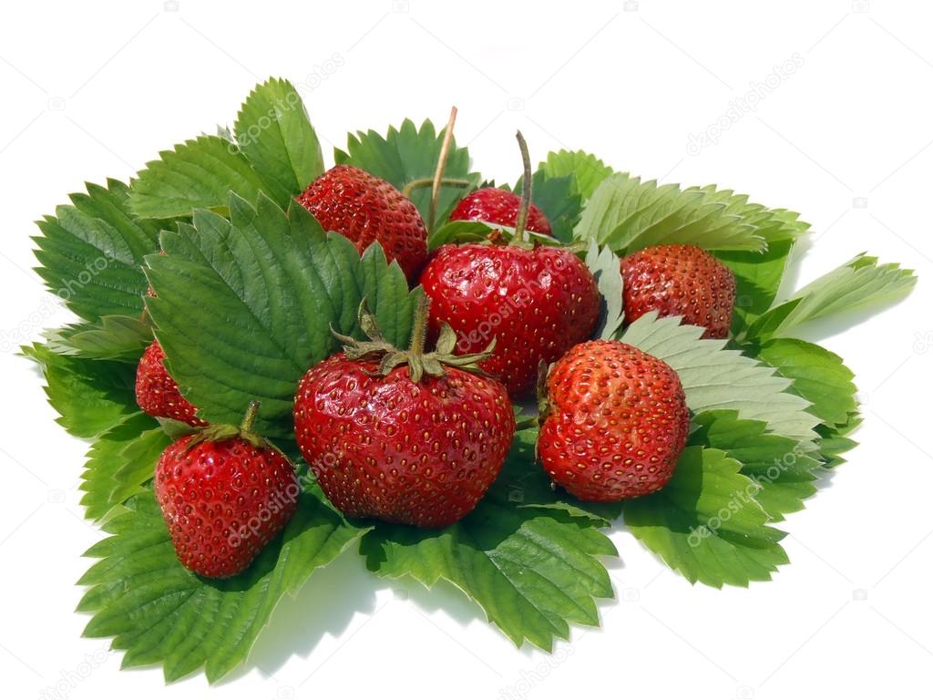 Ripe strawberry with green leaves on a white background (a still life from garden berries).