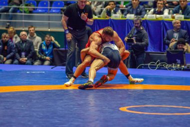 Match between David Taylor, Titan Mercury Wrestling Team USA vs Alireza Karimimachiani, Wrestling Team Razi Iran during World Wrestling Club Cup, December 1, 2016, Kharkov, Ukraine