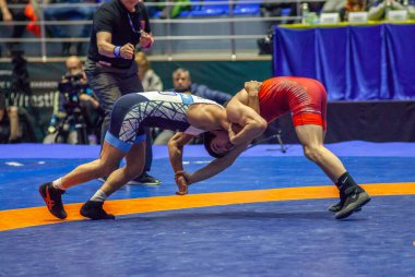 Vladimir Khinchegashvili, Titan Mercury Güreş Takımı ABD - Massoud Esmailpoorjouybari, Güreş Takımı Razi Iran - Dünya Güreş Kulübü Kupası, 1 Aralık 2016, Kharkov, Ukrayna