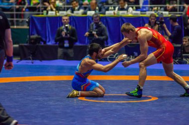 Dünya Güreş Kulübü Kupası 'nda Vasyl Shuptar (UKR) - Garig Barseghyan (ARM) maçı, 1 Aralık 2016, Kharkov, Ukrayna